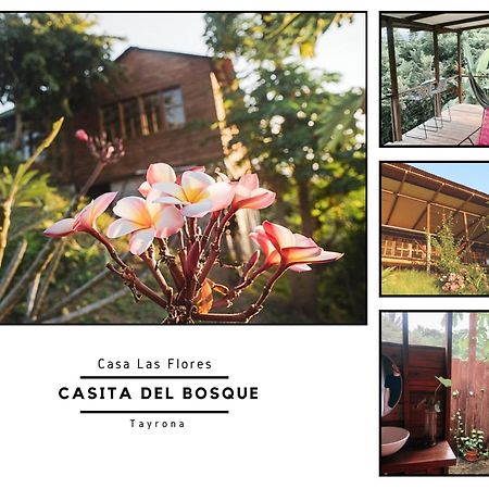 La Casita Del Bosque Villa Санта Марта Екстериор снимка