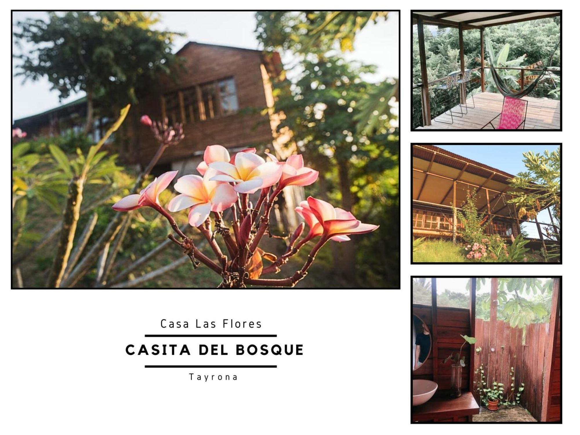 La Casita Del Bosque Villa Санта Марта Екстериор снимка